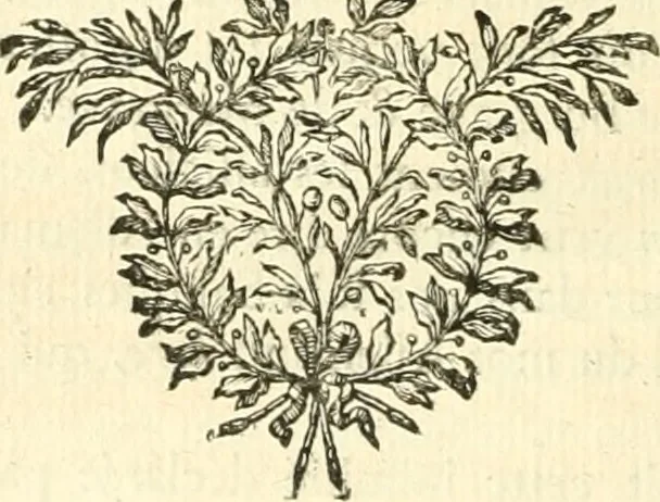 An illustration from Mémoires de littérature tirez des registres de l'Académie royale des inscriptions et belles lettres, depuis le renouvellement de cette Académie jusqu'en 1705, 1717, leaf 673