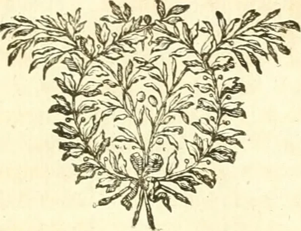 An illustration from Mémoires de littérature tirez des registres de l'Académie royale des inscriptions et belles lettres, depuis le renouvellement de cette Académie jusqu'en 1705, 1717, leaf 814