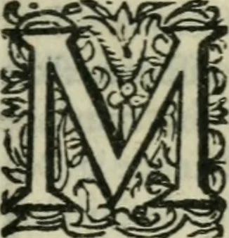 An illustration from Mémoires de monsieur de Montrésor : diverses pièces durant le ministère du cardinal de Richelieu. Relation de monsieur de Fontrailles. Affaires de messieurs le comte de Soissons, ducs de Guise & de Bouillon, etc, 1664, leaf 290