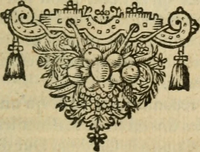 An illustration from Mémoires de monsieur de Montrésor : diverses pièces durant le ministère du cardinal de Richelieu. Relation de monsieur de Fontrailles. Affaires de messieurs le comte de Soissons, ducs de Guise & de Bouillon, etc, 1664, leaf 340