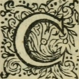 An illustration from Mémoires de monsieur de Montrésor : diverses pièces durant le ministère du cardinal de Richelieu. Relation de monsieur de Fontrailles. Affaires de messieurs le comte de Soissons, ducs de Guise & de Bouillon, etc, 1664, leaf 372