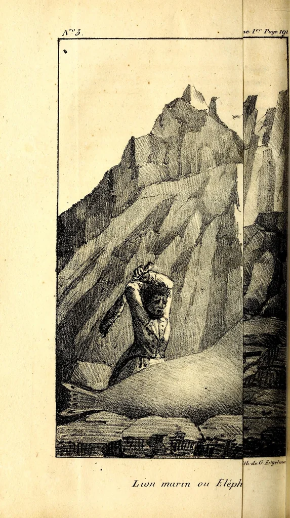 An illustration from Mémoires du Capitaine Péron : sur ses voyages aux côtes d'Afrique, en Arabie, à l'île d'Amsterdam, aux îles d'Anjouan et de Mayotte, aux côtes nord-ouest de l'Amérique, aux îles Sandwich, à la Chine, etc., 1824, leaf 222
