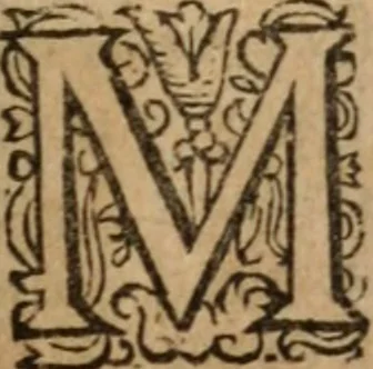 An illustration from Mémoires d'un favory de son Altesse royalle monsieur le duc d'Orléans, 1668, leaf 120