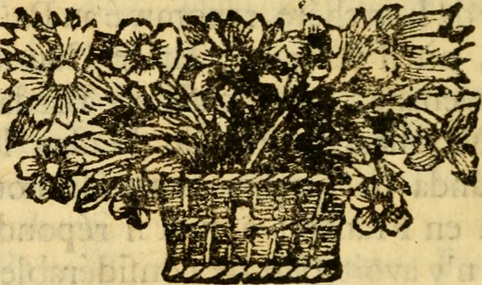 An illustration from Mémoires pour servir à l'histoire de Hollande et des autres Provinces-Unies : òu l'on verra les véritables causes des divisions qui sont depuis soixante ans dans cette république & qui la menacent de ruine, 1697, leaf 237