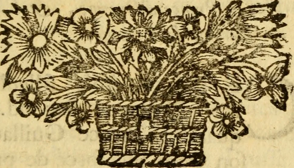 An illustration from Mémoires pour servir à l'histoire de Hollande et des autres Provinces-Unies : òu l'on verra les véritables causes des divisions qui sont depuis soixante ans dans cette république & qui la menacent de ruine, 1697, leaf 264