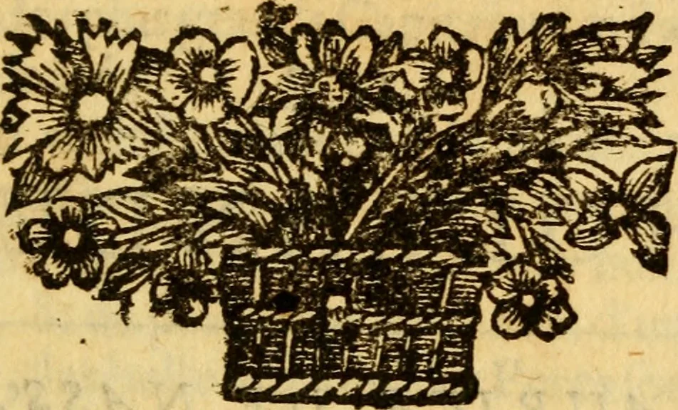 An illustration from Mémoires pour servir à l'histoire de Hollande et des autres Provinces-Unies : òu l'on verra les véritables causes des divisions qui sont depuis soixante ans dans cette république & qui la menacent de ruine, 1697, leaf 278