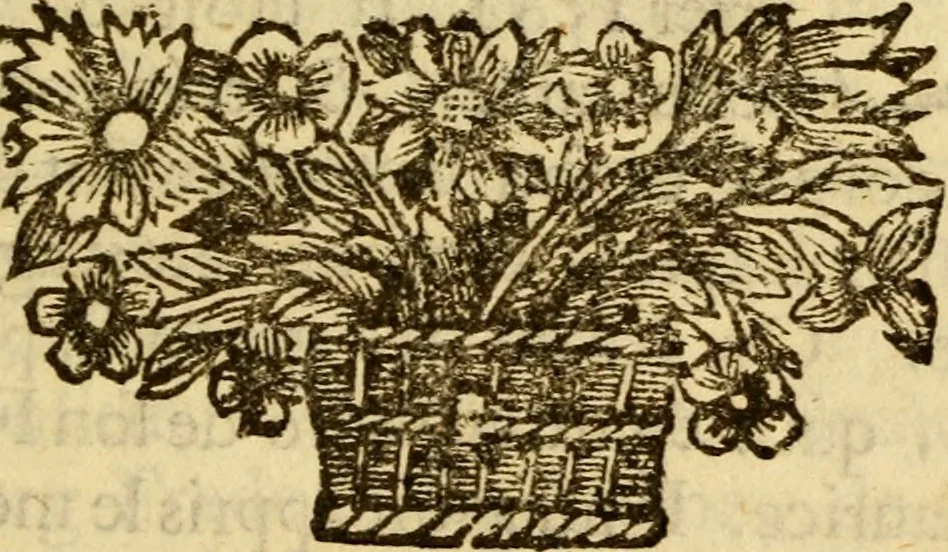 An illustration from Mémoires pour servir à l'histoire de Hollande et des autres Provinces-Unies : òu l'on verra les véritables causes des divisions qui sont depuis soixante ans dans cette république & qui la menacent de ruine, 1697, leaf 370