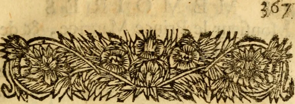 An illustration from Mémoires pour servir à l'histoire de Hollande et des autres Provinces-Unies : òu l'on verra les véritables causes des divisions qui sont depuis soixante ans dans cette république & qui la menacent de ruine, 1697, leaf 408