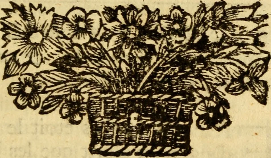 An illustration from Mémoires pour servir à l'histoire de Hollande et des autres Provinces-Unies : òu l'on verra les véritables causes des divisions qui sont depuis soixante ans dans cette république & qui la menacent de ruine, 1697, leaf 456