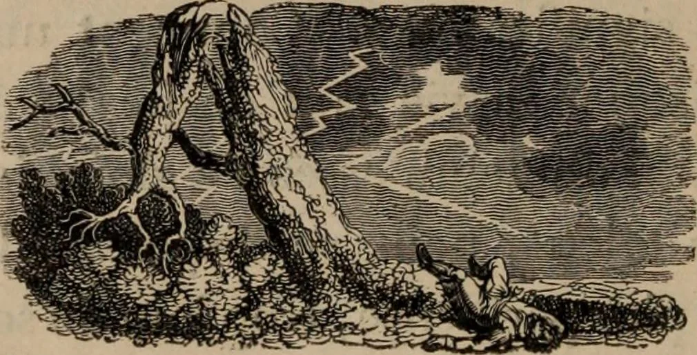 An illustration from Mémoires récréatifs, scientifiques et anecdotiques du physicien-aéronaute E.G. Robertson : connu par ses expériences de fantasmagorie, et par ses ascensions aérostatiques dans les principales villes de l'Europe : ex-professeur de physique au Collége central du ci-devant départment de l'Ourthe, membre de la Société Galvanique de Paris, de la Société des arts and des sciences de Hambourg, et de la Société d'émulation de Liége, 1831, leaf 103