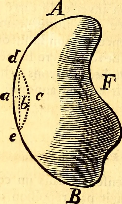 An illustration from Mémoires sur l'électricité et la magnétisme, 1789, leaf 107