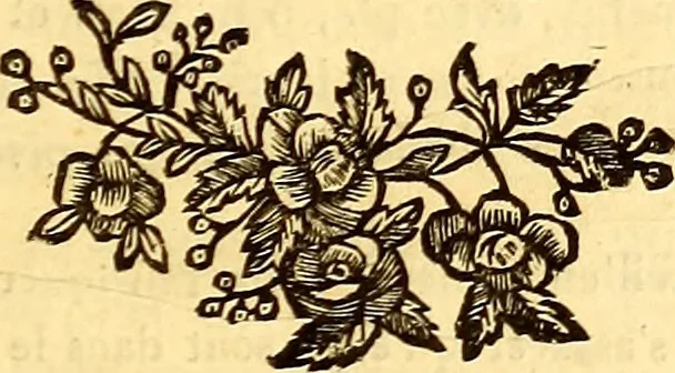 An illustration from Mémoires sur l'électricité et la magnétisme, 1789, leaf 6