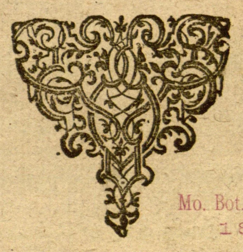 An illustration from Prodromos Theatri botanici Caspari Bauhini basileens ... : in quo plantæ supra sexcentæ ab ipso primum descriptæ cum plurimis figuris proponuntur., 1620, leaf 1