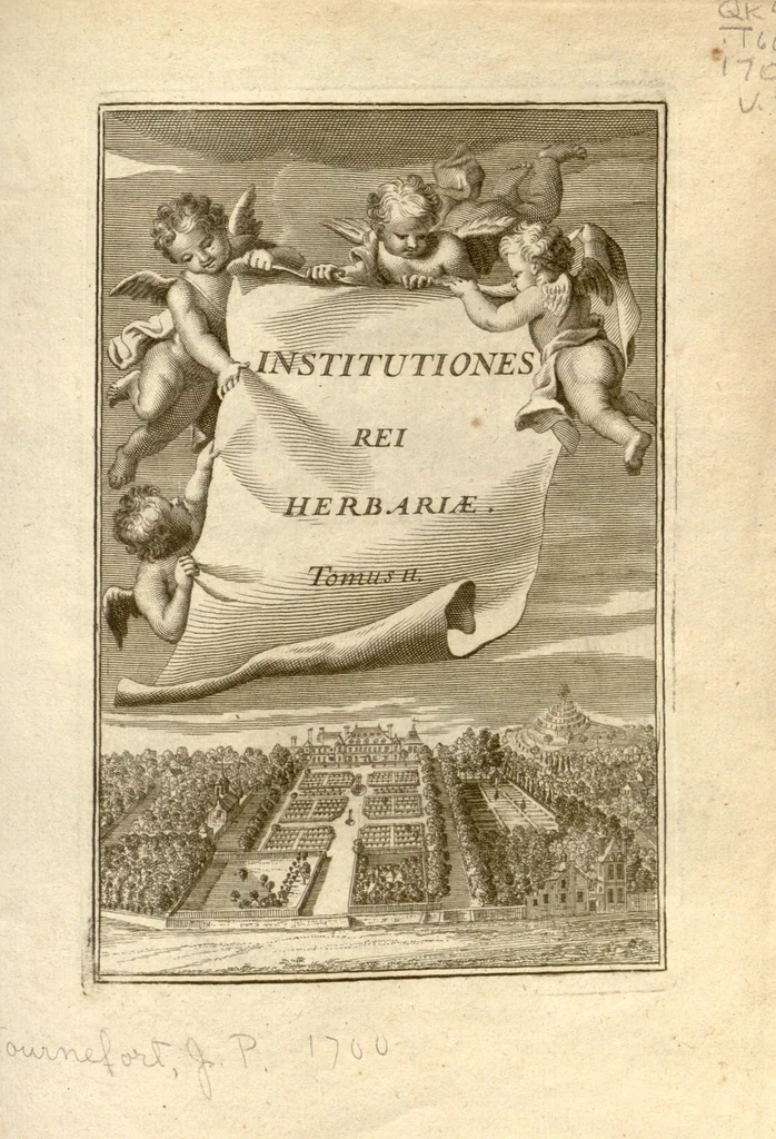 An illustration from Josephi Pitton Tournefort ... Institutiones rei herbaria., 1700, leaf 1