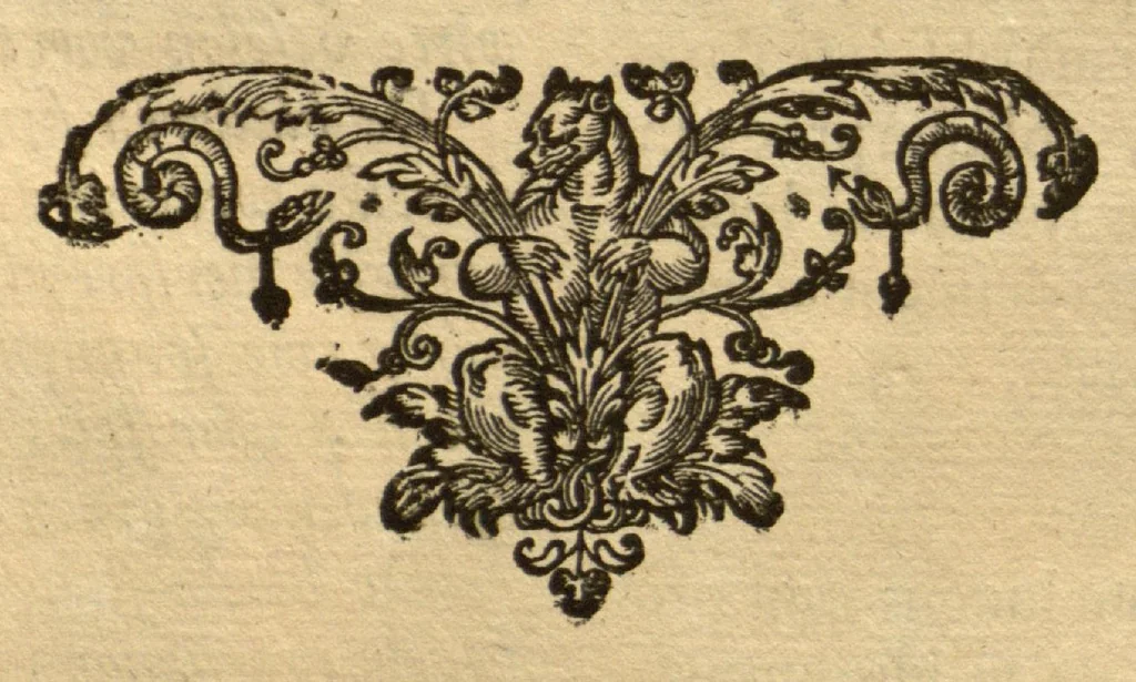 An illustration from Horti medici amstelodamensis rariorum tam Orientalis ?qua?m Occidentalis India, aliarumque peregrinarum plantarum, magno studio ac labore, sumptibus Civitatis amstelodamensis, longa? annorum serie collectarum, descriptio et icones ad vivum ari incisa /auctore Joanne Commelino. Opus posthumum, latinitate donatum, notisque & observationibus illustratum, a? Frederico Ruyschio & Francisco Kiggelario., 1697, leaf 125