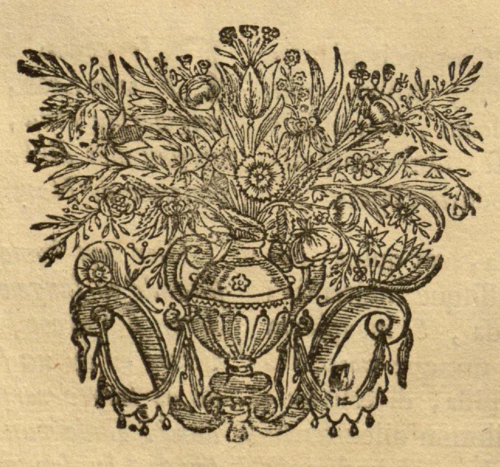 An illustration from Horti medici amstelodamensis rariorum tam Orientalis ?qua?m Occidentalis India, aliarumque peregrinarum plantarum, magno studio ac labore, sumptibus Civitatis amstelodamensis, longa? annorum serie collectarum, descriptio et icones ad vivum ari incisa /auctore Joanne Commelino. Opus posthumum, latinitate donatum, notisque & observationibus illustratum, a? Frederico Ruyschio & Francisco Kiggelario., 1697, leaf 134