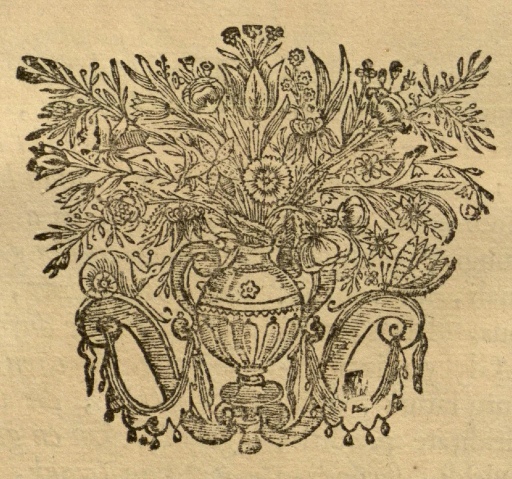 An illustration from Horti medici amstelodamensis rariorum tam Orientalis ?qua?m Occidentalis India, aliarumque peregrinarum plantarum, magno studio ac labore, sumptibus Civitatis amstelodamensis, longa? annorum serie collectarum, descriptio et icones ad vivum ari incisa /auctore Joanne Commelino. Opus posthumum, latinitate donatum, notisque & observationibus illustratum, a? Frederico Ruyschio & Francisco Kiggelario., 1697, leaf 191