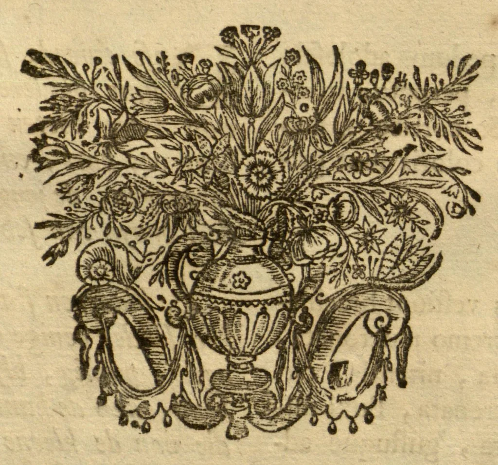 An illustration from Horti medici amstelodamensis rariorum tam Orientalis ?qua?m Occidentalis India, aliarumque peregrinarum plantarum, magno studio ac labore, sumptibus Civitatis amstelodamensis, longa? annorum serie collectarum, descriptio et icones ad vivum ari incisa /auctore Joanne Commelino. Opus posthumum, latinitate donatum, notisque & observationibus illustratum, a? Frederico Ruyschio & Francisco Kiggelario., 1697, leaf 206
