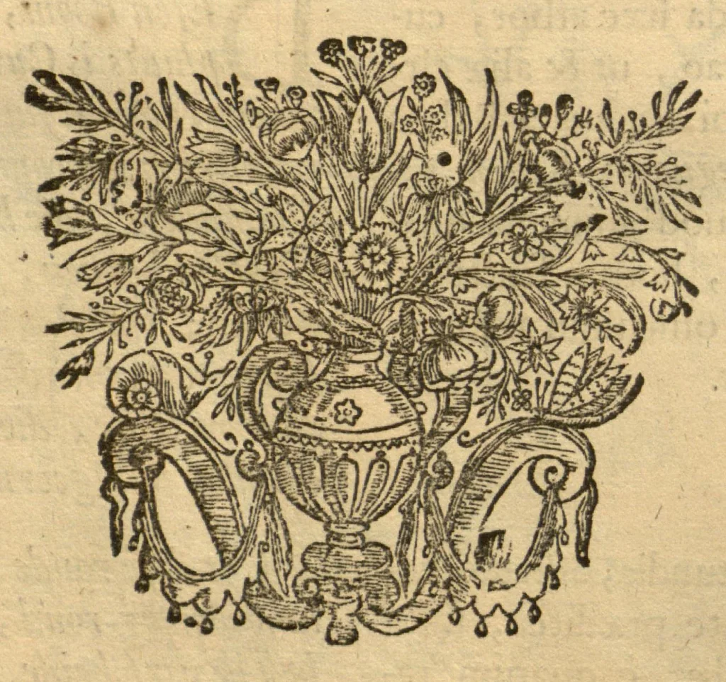 An illustration from Horti medici amstelodamensis rariorum tam Orientalis ?qua?m Occidentalis India, aliarumque peregrinarum plantarum, magno studio ac labore, sumptibus Civitatis amstelodamensis, longa? annorum serie collectarum, descriptio et icones ad vivum ari incisa /auctore Joanne Commelino. Opus posthumum, latinitate donatum, notisque & observationibus illustratum, a? Frederico Ruyschio & Francisco Kiggelario., 1697, leaf 230