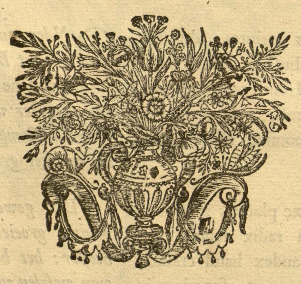 An illustration from Horti medici amstelodamensis rariorum tam Orientalis ?qua?m Occidentalis India, aliarumque peregrinarum plantarum, magno studio ac labore, sumptibus Civitatis amstelodamensis, longa? annorum serie collectarum, descriptio et icones ad vivum ari incisa /auctore Joanne Commelino. Opus posthumum, latinitate donatum, notisque & observationibus illustratum, a? Frederico Ruyschio & Francisco Kiggelario., 1697, leaf 253