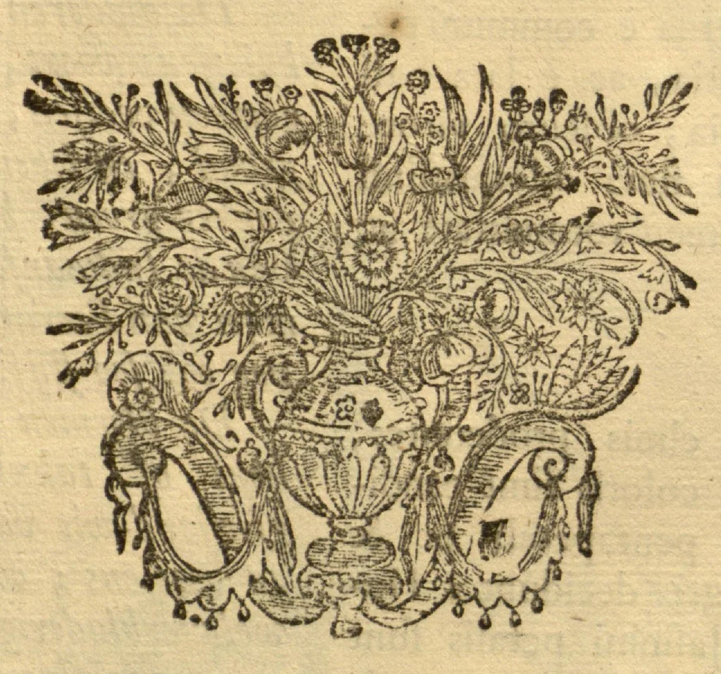 An illustration from Horti medici amstelodamensis rariorum tam Orientalis ?qua?m Occidentalis India, aliarumque peregrinarum plantarum, magno studio ac labore, sumptibus Civitatis amstelodamensis, longa? annorum serie collectarum, descriptio et icones ad vivum ari incisa /auctore Joanne Commelino. Opus posthumum, latinitate donatum, notisque & observationibus illustratum, a? Frederico Ruyschio & Francisco Kiggelario., 1697, leaf 256