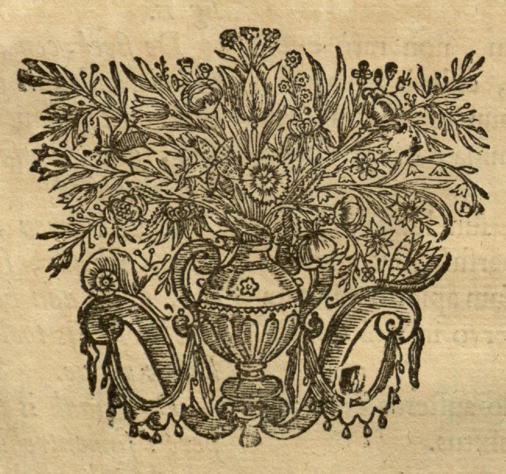 An illustration from Horti medici amstelodamensis rariorum tam Orientalis ?qua?m Occidentalis India, aliarumque peregrinarum plantarum, magno studio ac labore, sumptibus Civitatis amstelodamensis, longa? annorum serie collectarum, descriptio et icones ad vivum ari incisa /auctore Joanne Commelino. Opus posthumum, latinitate donatum, notisque & observationibus illustratum, a? Frederico Ruyschio & Francisco Kiggelario., 1697, leaf 29
