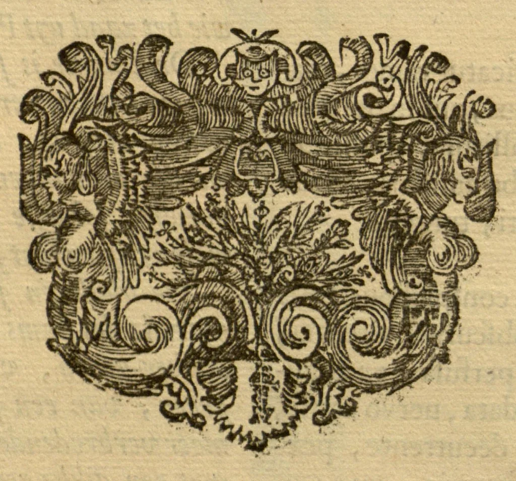 An illustration from Horti medici amstelodamensis rariorum tam Orientalis ?qua?m Occidentalis India, aliarumque peregrinarum plantarum, magno studio ac labore, sumptibus Civitatis amstelodamensis, longa? annorum serie collectarum, descriptio et icones ad vivum ari incisa /auctore Joanne Commelino. Opus posthumum, latinitate donatum, notisque & observationibus illustratum, a? Frederico Ruyschio & Francisco Kiggelario., 1697, leaf 307