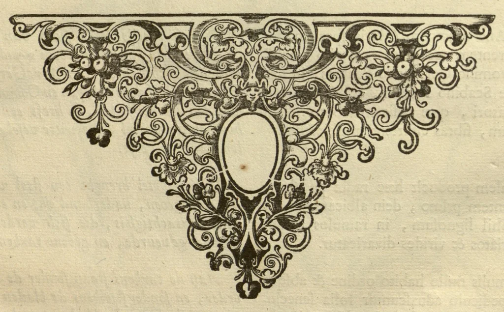 An illustration from Horti medici amstelodamensis rariorum tam Orientalis ?qua?m Occidentalis India, aliarumque peregrinarum plantarum, magno studio ac labore, sumptibus Civitatis amstelodamensis, longa? annorum serie collectarum, descriptio et icones ad vivum ari incisa /auctore Joanne Commelino. Opus posthumum, latinitate donatum, notisque & observationibus illustratum, a? Frederico Ruyschio & Francisco Kiggelario., 1697, leaf 100