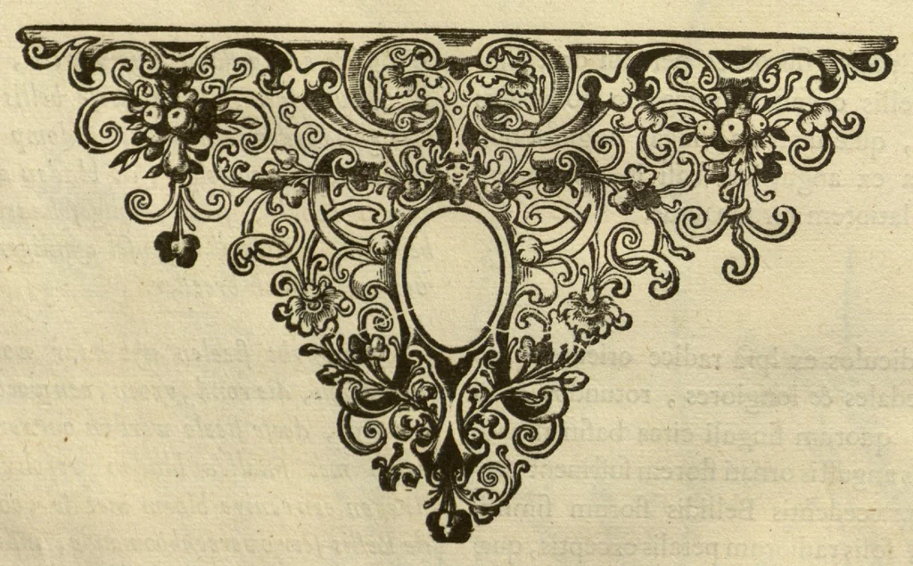 An illustration from Horti medici amstelodamensis rariorum tam Orientalis ?qua?m Occidentalis India, aliarumque peregrinarum plantarum, magno studio ac labore, sumptibus Civitatis amstelodamensis, longa? annorum serie collectarum, descriptio et icones ad vivum ari incisa /auctore Joanne Commelino. Opus posthumum, latinitate donatum, notisque & observationibus illustratum, a? Frederico Ruyschio & Francisco Kiggelario., 1697, leaf 109