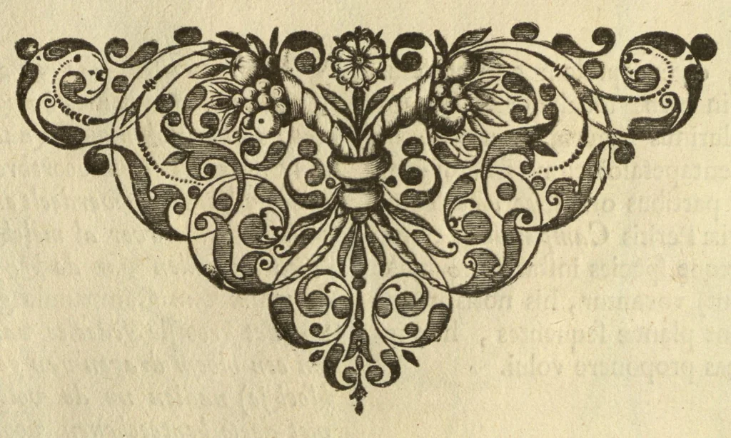 An illustration from Horti medici amstelodamensis rariorum tam Orientalis ?qua?m Occidentalis India, aliarumque peregrinarum plantarum, magno studio ac labore, sumptibus Civitatis amstelodamensis, longa? annorum serie collectarum, descriptio et icones ad vivum ari incisa /auctore Joanne Commelino. Opus posthumum, latinitate donatum, notisque & observationibus illustratum, a? Frederico Ruyschio & Francisco Kiggelario., 1697, leaf 112