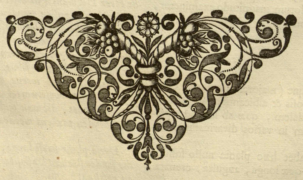 An illustration from Horti medici amstelodamensis rariorum tam Orientalis ?qua?m Occidentalis India, aliarumque peregrinarum plantarum, magno studio ac labore, sumptibus Civitatis amstelodamensis, longa? annorum serie collectarum, descriptio et icones ad vivum ari incisa /auctore Joanne Commelino. Opus posthumum, latinitate donatum, notisque & observationibus illustratum, a? Frederico Ruyschio & Francisco Kiggelario., 1697, leaf 120