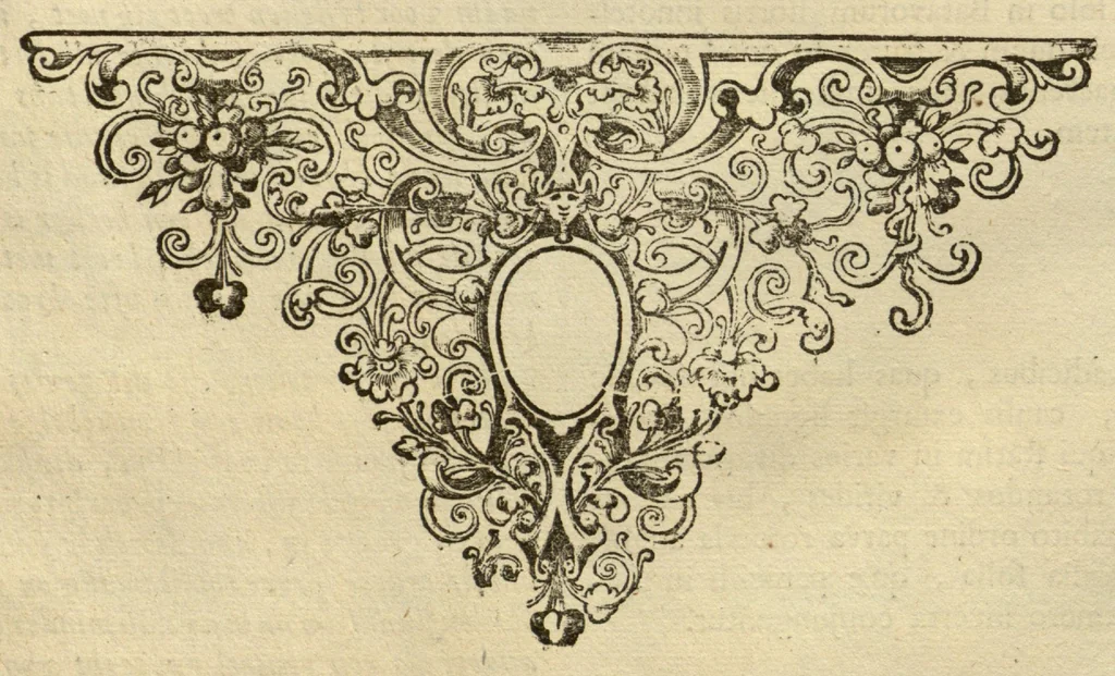An illustration from Horti medici amstelodamensis rariorum tam Orientalis ?qua?m Occidentalis India, aliarumque peregrinarum plantarum, magno studio ac labore, sumptibus Civitatis amstelodamensis, longa? annorum serie collectarum, descriptio et icones ad vivum ari incisa /auctore Joanne Commelino. Opus posthumum, latinitate donatum, notisque & observationibus illustratum, a? Frederico Ruyschio & Francisco Kiggelario., 1697, leaf 126