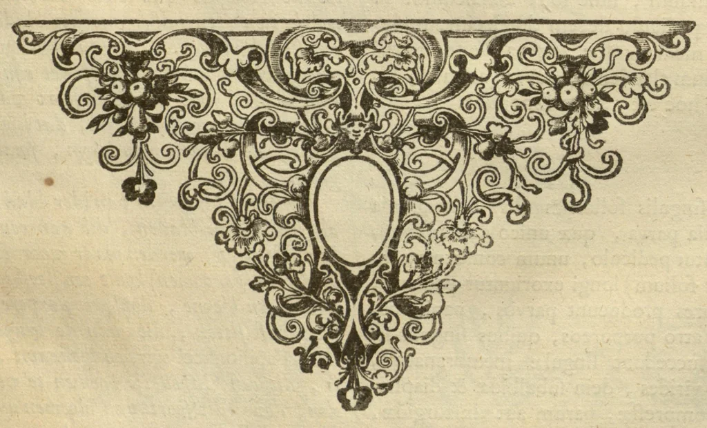 An illustration from Horti medici amstelodamensis rariorum tam Orientalis ?qua?m Occidentalis India, aliarumque peregrinarum plantarum, magno studio ac labore, sumptibus Civitatis amstelodamensis, longa? annorum serie collectarum, descriptio et icones ad vivum ari incisa /auctore Joanne Commelino. Opus posthumum, latinitate donatum, notisque & observationibus illustratum, a? Frederico Ruyschio & Francisco Kiggelario., 1697, leaf 138
