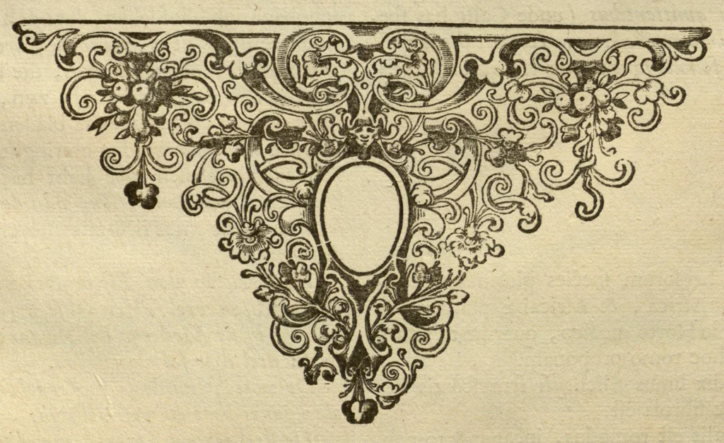 An illustration from Horti medici amstelodamensis rariorum tam Orientalis ?qua?m Occidentalis India, aliarumque peregrinarum plantarum, magno studio ac labore, sumptibus Civitatis amstelodamensis, longa? annorum serie collectarum, descriptio et icones ad vivum ari incisa /auctore Joanne Commelino. Opus posthumum, latinitate donatum, notisque & observationibus illustratum, a? Frederico Ruyschio & Francisco Kiggelario., 1697, leaf 168