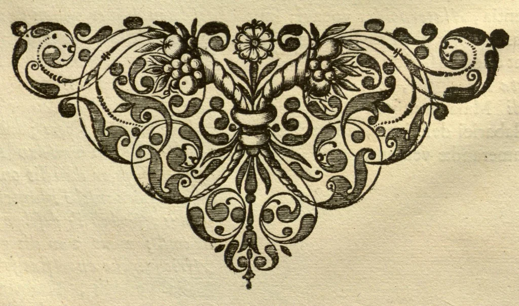 An illustration from Horti medici amstelodamensis rariorum tam Orientalis ?qua?m Occidentalis India, aliarumque peregrinarum plantarum, magno studio ac labore, sumptibus Civitatis amstelodamensis, longa? annorum serie collectarum, descriptio et icones ad vivum ari incisa /auctore Joanne Commelino. Opus posthumum, latinitate donatum, notisque & observationibus illustratum, a? Frederico Ruyschio & Francisco Kiggelario., 1697, leaf 17