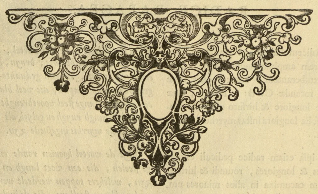 An illustration from Horti medici amstelodamensis rariorum tam Orientalis ?qua?m Occidentalis India, aliarumque peregrinarum plantarum, magno studio ac labore, sumptibus Civitatis amstelodamensis, longa? annorum serie collectarum, descriptio et icones ad vivum ari incisa /auctore Joanne Commelino. Opus posthumum, latinitate donatum, notisque & observationibus illustratum, a? Frederico Ruyschio & Francisco Kiggelario., 1697, leaf 192