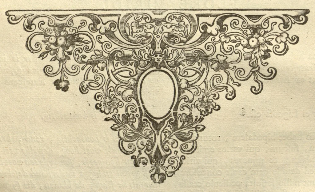 An illustration from Horti medici amstelodamensis rariorum tam Orientalis ?qua?m Occidentalis India, aliarumque peregrinarum plantarum, magno studio ac labore, sumptibus Civitatis amstelodamensis, longa? annorum serie collectarum, descriptio et icones ad vivum ari incisa /auctore Joanne Commelino. Opus posthumum, latinitate donatum, notisque & observationibus illustratum, a? Frederico Ruyschio & Francisco Kiggelario., 1697, leaf 20