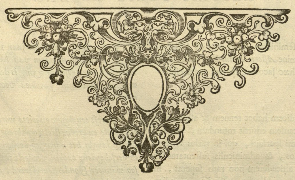 An illustration from Horti medici amstelodamensis rariorum tam Orientalis ?qua?m Occidentalis India, aliarumque peregrinarum plantarum, magno studio ac labore, sumptibus Civitatis amstelodamensis, longa? annorum serie collectarum, descriptio et icones ad vivum ari incisa /auctore Joanne Commelino. Opus posthumum, latinitate donatum, notisque & observationibus illustratum, a? Frederico Ruyschio & Francisco Kiggelario., 1697, leaf 220