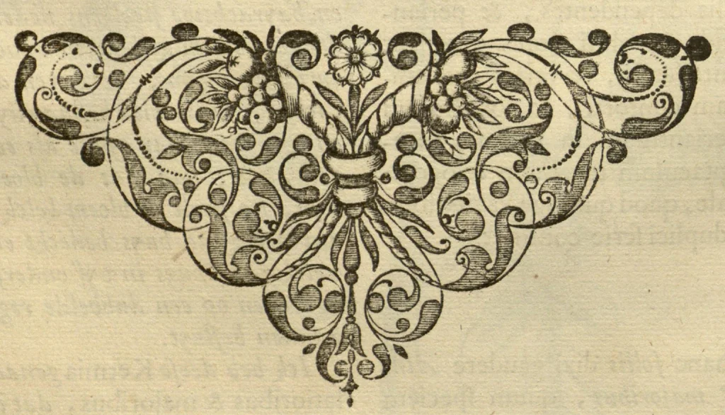 An illustration from Horti medici amstelodamensis rariorum tam Orientalis ?qua?m Occidentalis India, aliarumque peregrinarum plantarum, magno studio ac labore, sumptibus Civitatis amstelodamensis, longa? annorum serie collectarum, descriptio et icones ad vivum ari incisa /auctore Joanne Commelino. Opus posthumum, latinitate donatum, notisque & observationibus illustratum, a? Frederico Ruyschio & Francisco Kiggelario., 1697, leaf 234