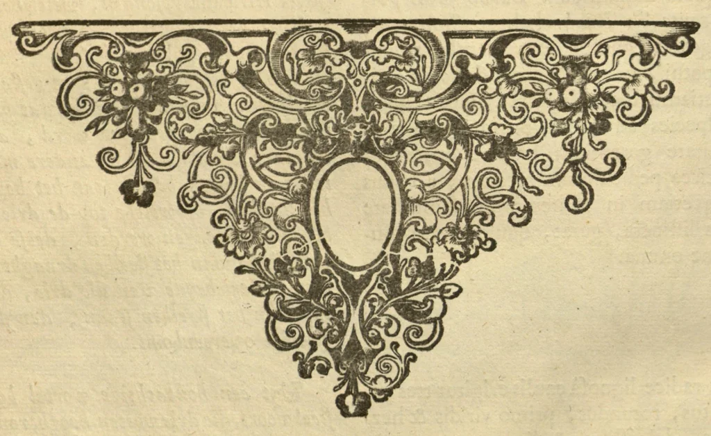 An illustration from Horti medici amstelodamensis rariorum tam Orientalis ?qua?m Occidentalis India, aliarumque peregrinarum plantarum, magno studio ac labore, sumptibus Civitatis amstelodamensis, longa? annorum serie collectarum, descriptio et icones ad vivum ari incisa /auctore Joanne Commelino. Opus posthumum, latinitate donatum, notisque & observationibus illustratum, a? Frederico Ruyschio & Francisco Kiggelario., 1697, leaf 251