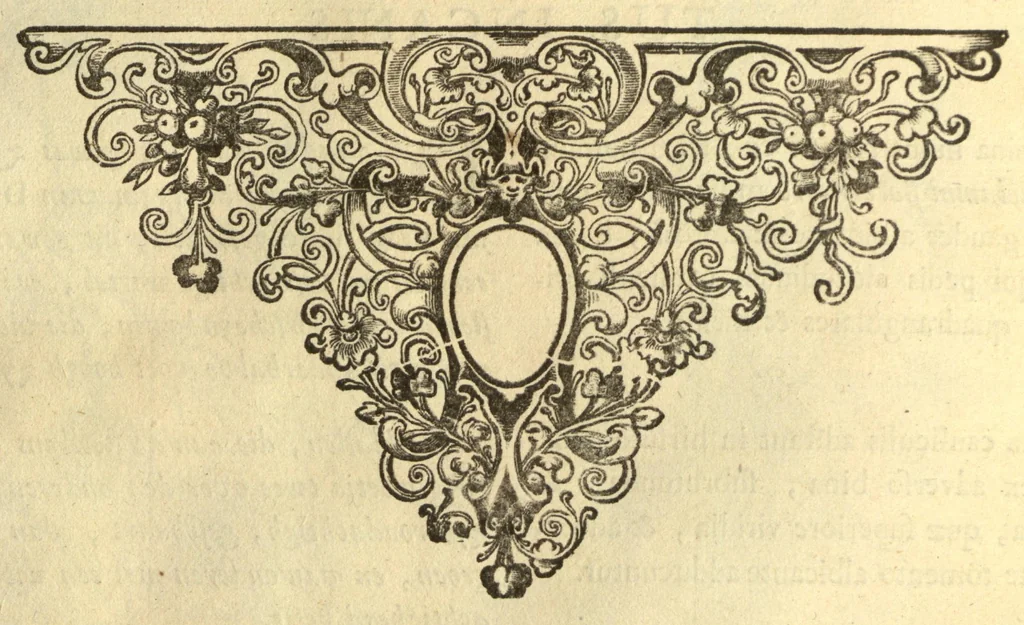 An illustration from Horti medici amstelodamensis rariorum tam Orientalis ?qua?m Occidentalis India, aliarumque peregrinarum plantarum, magno studio ac labore, sumptibus Civitatis amstelodamensis, longa? annorum serie collectarum, descriptio et icones ad vivum ari incisa /auctore Joanne Commelino. Opus posthumum, latinitate donatum, notisque & observationibus illustratum, a? Frederico Ruyschio & Francisco Kiggelario., 1697, leaf 267