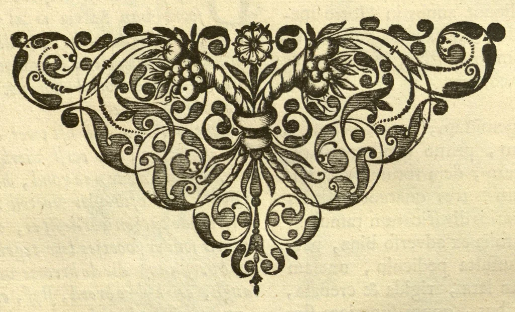 An illustration from Horti medici amstelodamensis rariorum tam Orientalis ?qua?m Occidentalis India, aliarumque peregrinarum plantarum, magno studio ac labore, sumptibus Civitatis amstelodamensis, longa? annorum serie collectarum, descriptio et icones ad vivum ari incisa /auctore Joanne Commelino. Opus posthumum, latinitate donatum, notisque & observationibus illustratum, a? Frederico Ruyschio & Francisco Kiggelario., 1697, leaf 270