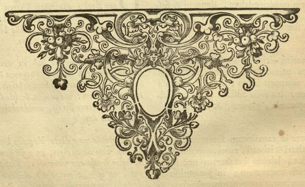 An illustration from Horti medici amstelodamensis rariorum tam Orientalis ?qua?m Occidentalis India, aliarumque peregrinarum plantarum, magno studio ac labore, sumptibus Civitatis amstelodamensis, longa? annorum serie collectarum, descriptio et icones ad vivum ari incisa /auctore Joanne Commelino. Opus posthumum, latinitate donatum, notisque & observationibus illustratum, a? Frederico Ruyschio & Francisco Kiggelario., 1697, leaf 273