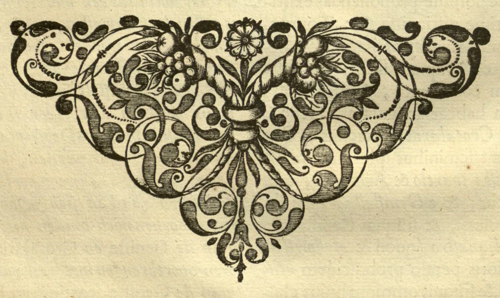 An illustration from Horti medici amstelodamensis rariorum tam Orientalis ?qua?m Occidentalis India, aliarumque peregrinarum plantarum, magno studio ac labore, sumptibus Civitatis amstelodamensis, longa? annorum serie collectarum, descriptio et icones ad vivum ari incisa /auctore Joanne Commelino. Opus posthumum, latinitate donatum, notisque & observationibus illustratum, a? Frederico Ruyschio & Francisco Kiggelario., 1697, leaf 286