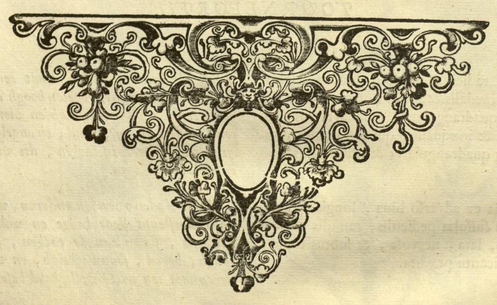 An illustration from Horti medici amstelodamensis rariorum tam Orientalis ?qua?m Occidentalis India, aliarumque peregrinarum plantarum, magno studio ac labore, sumptibus Civitatis amstelodamensis, longa? annorum serie collectarum, descriptio et icones ad vivum ari incisa /auctore Joanne Commelino. Opus posthumum, latinitate donatum, notisque & observationibus illustratum, a? Frederico Ruyschio & Francisco Kiggelario., 1697, leaf 292