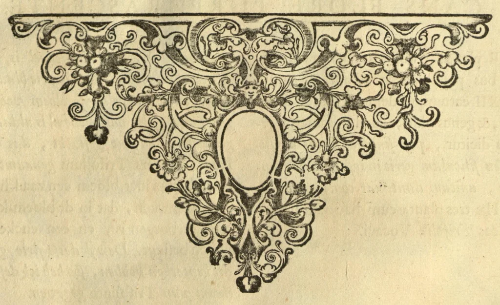 An illustration from Horti medici amstelodamensis rariorum tam Orientalis ?qua?m Occidentalis India, aliarumque peregrinarum plantarum, magno studio ac labore, sumptibus Civitatis amstelodamensis, longa? annorum serie collectarum, descriptio et icones ad vivum ari incisa /auctore Joanne Commelino. Opus posthumum, latinitate donatum, notisque & observationibus illustratum, a? Frederico Ruyschio & Francisco Kiggelario., 1697, leaf 310