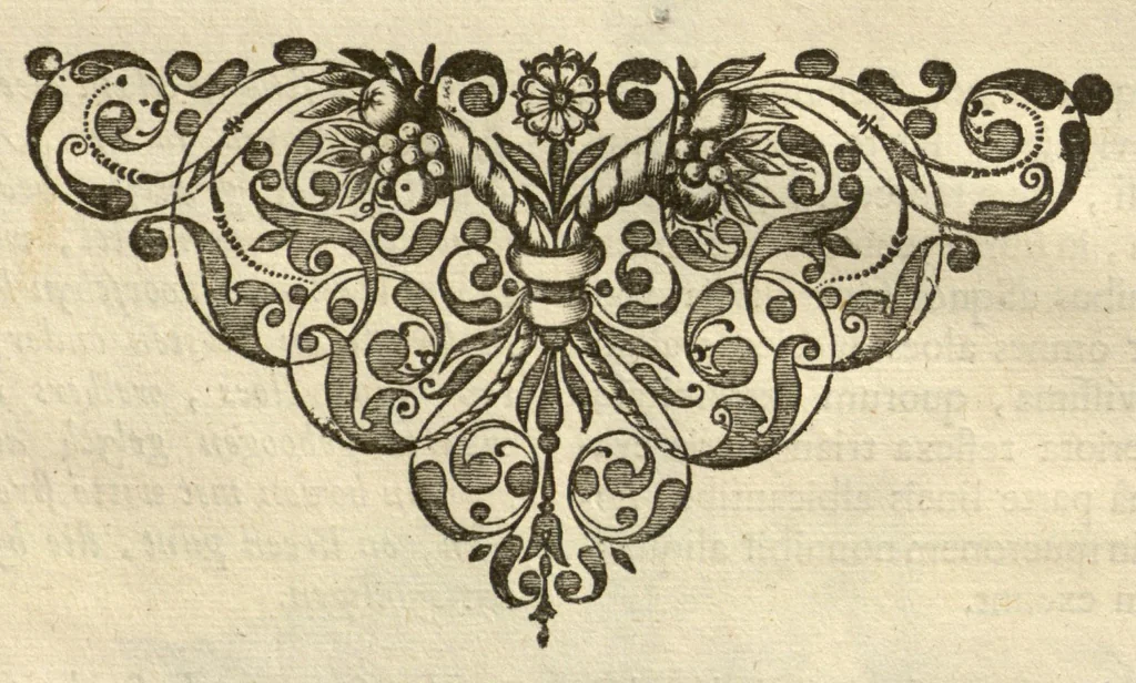 An illustration from Horti medici amstelodamensis rariorum tam Orientalis ?qua?m Occidentalis India, aliarumque peregrinarum plantarum, magno studio ac labore, sumptibus Civitatis amstelodamensis, longa? annorum serie collectarum, descriptio et icones ad vivum ari incisa /auctore Joanne Commelino. Opus posthumum, latinitate donatum, notisque & observationibus illustratum, a? Frederico Ruyschio & Francisco Kiggelario., 1697, leaf 33