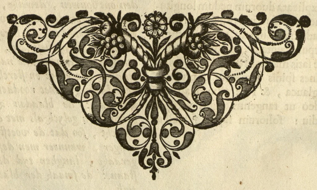An illustration from Horti medici amstelodamensis rariorum tam Orientalis ?qua?m Occidentalis India, aliarumque peregrinarum plantarum, magno studio ac labore, sumptibus Civitatis amstelodamensis, longa? annorum serie collectarum, descriptio et icones ad vivum ari incisa /auctore Joanne Commelino. Opus posthumum, latinitate donatum, notisque & observationibus illustratum, a? Frederico Ruyschio & Francisco Kiggelario., 1697, leaf 56