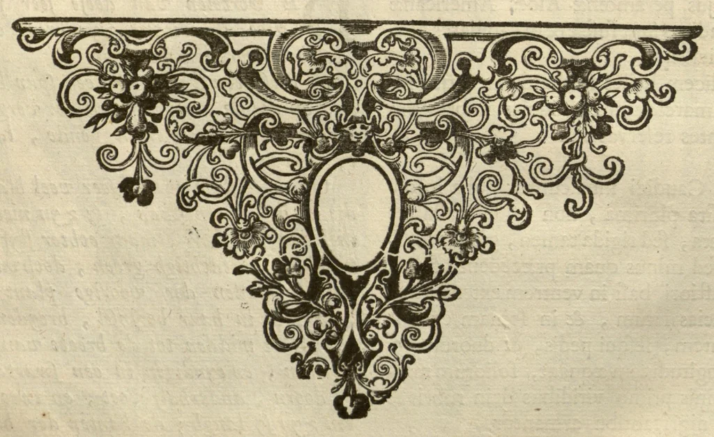 An illustration from Horti medici amstelodamensis rariorum tam Orientalis ?qua?m Occidentalis India, aliarumque peregrinarum plantarum, magno studio ac labore, sumptibus Civitatis amstelodamensis, longa? annorum serie collectarum, descriptio et icones ad vivum ari incisa /auctore Joanne Commelino. Opus posthumum, latinitate donatum, notisque & observationibus illustratum, a? Frederico Ruyschio & Francisco Kiggelario., 1697, leaf 59