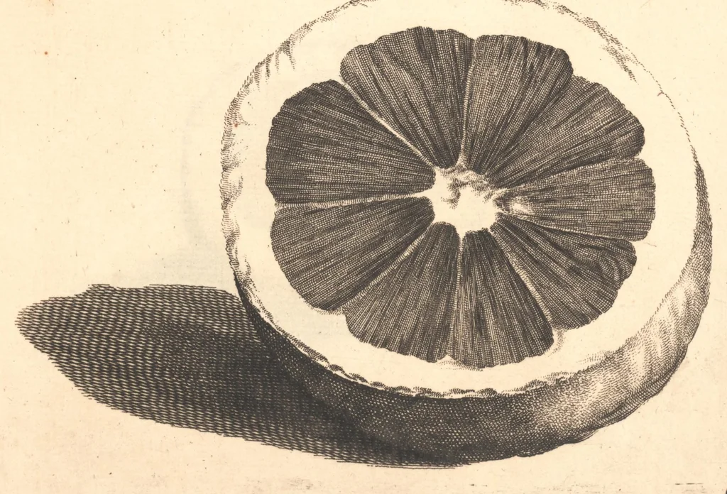 An illustration from Nederlantze hesperides ? dat is, Oeffening en gebruik van de limoen? en oranje?boomen ? gestelt na den aardt, en climaat der Nederlanden /met kopere platen verc?iert, door J. Commelyn., 1676, leaf 32
